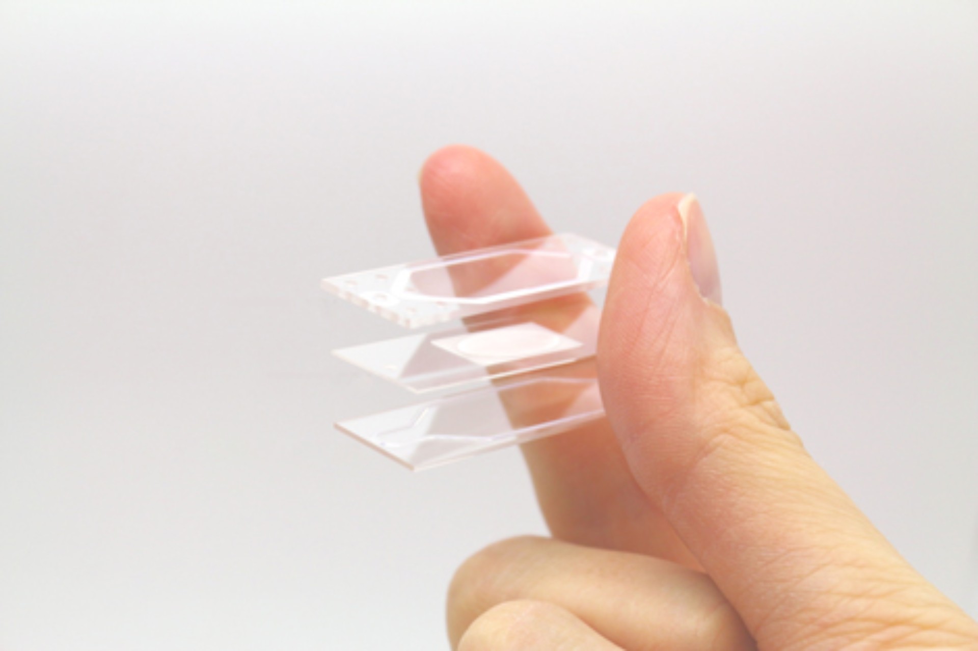 An Organ-on-Chip consisting of three layers