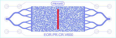 EOR - Physical Rock Structure with vertical crack
