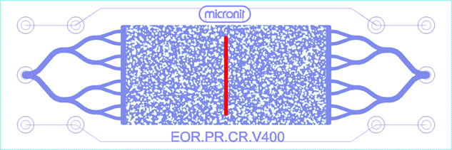 EOR Physical Rock with 400µm vertical crack